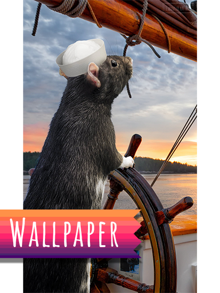 Rattober Wallpaper Pack - Image 2