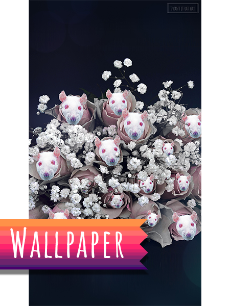 Rattober Wallpaper Pack - Image 4