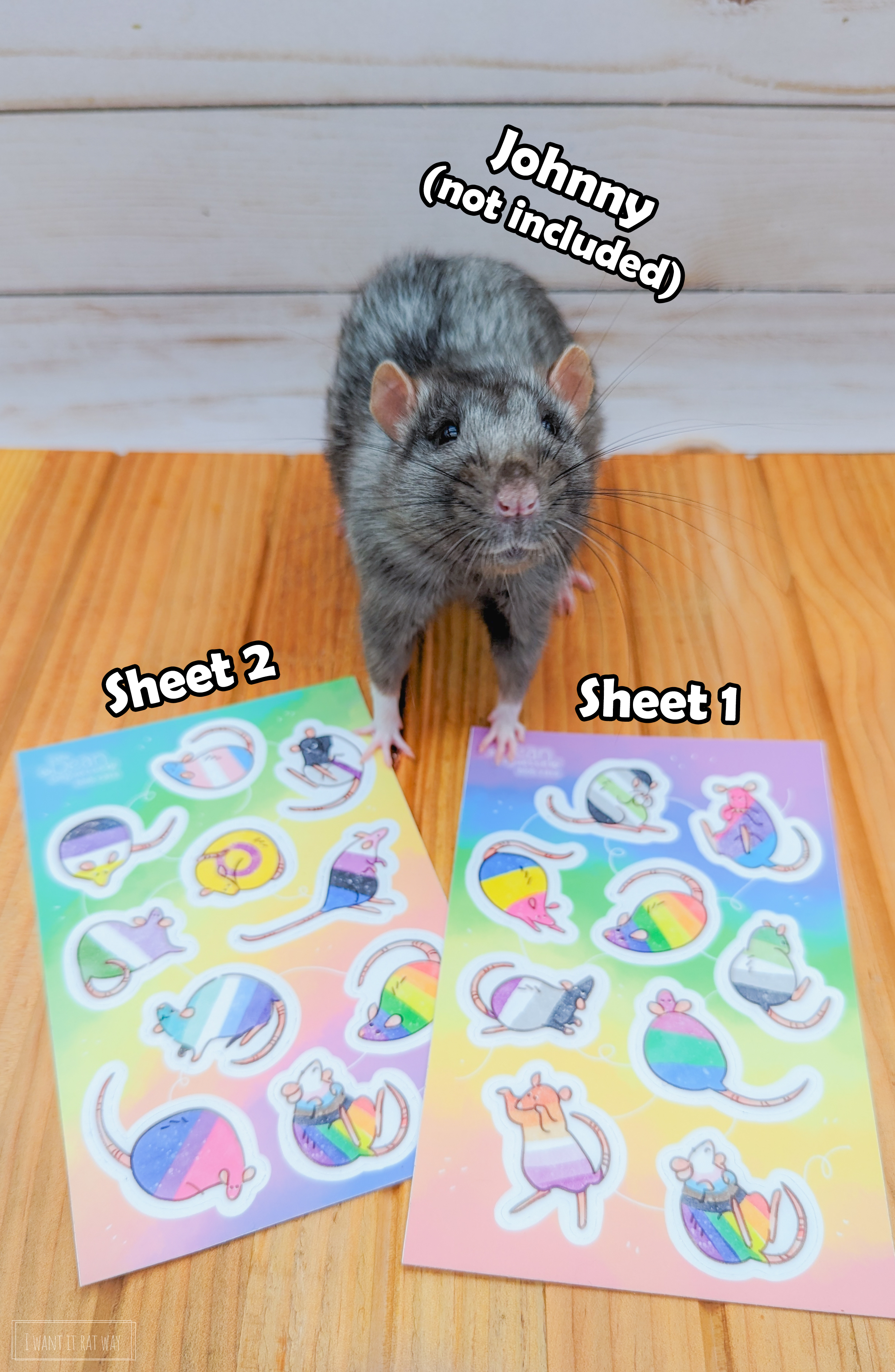 Pride Blob Rats Sticker Sheets by The Bean Baguette - Image 2